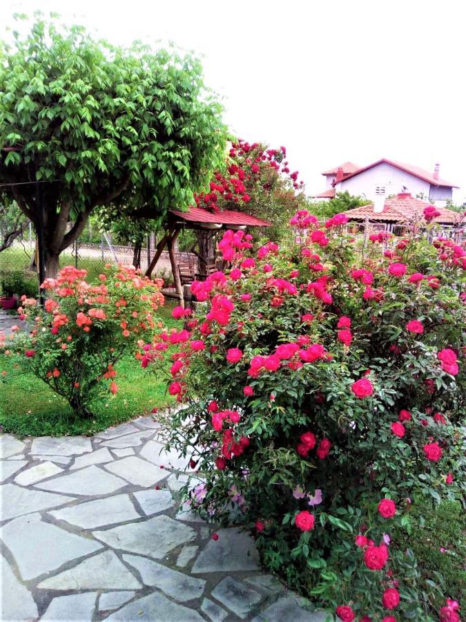 Villa Jenny Leptokarya  Bagian luar foto
