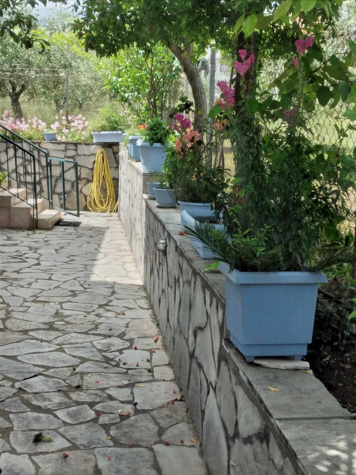 Villa Jenny Leptokarya  Bagian luar foto
